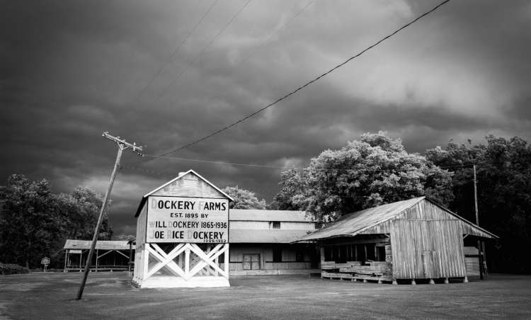dockery farms